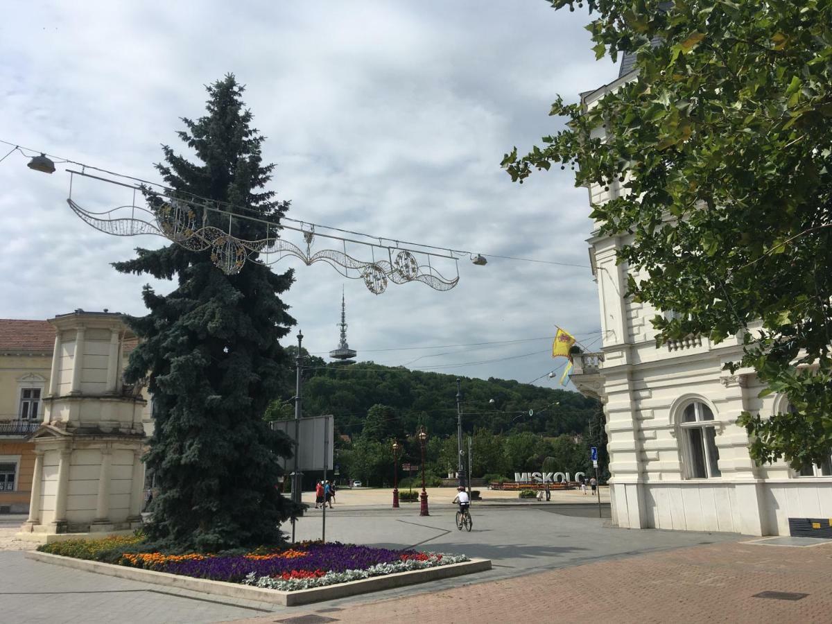 Mse Apartman Miškovec Exteriér fotografie