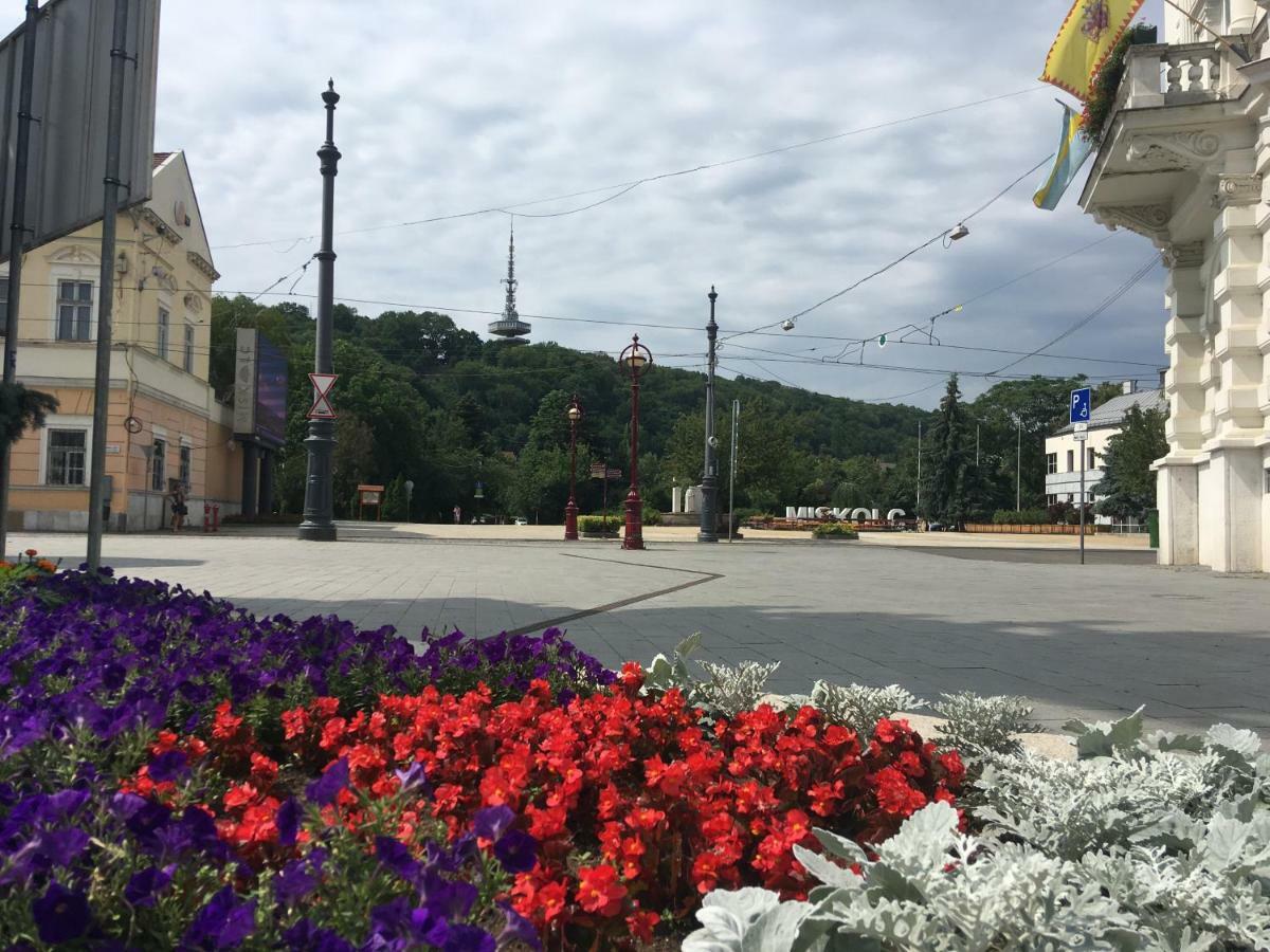 Mse Apartman Miškovec Exteriér fotografie