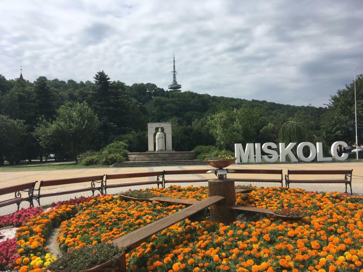 Mse Apartman Miškovec Exteriér fotografie