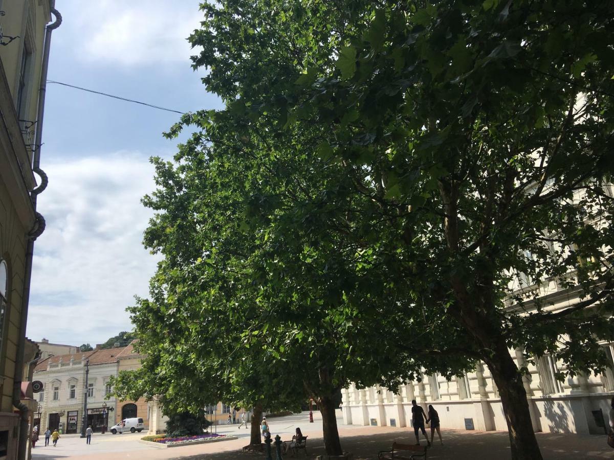 Mse Apartman Miškovec Exteriér fotografie